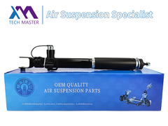 টেক মাস্টার TMAIRSUS লিঙ্কন MKT DE9Z18125A এর জন্য ডানদিকে পিছনের শক শোষক