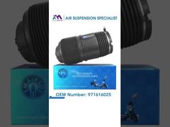 "টেক মাস্টার TMAIRSUS Porsche Panamera 971 Bentley Flying Spur Continental GT 97161602 এর জন্য পিছনের বামে