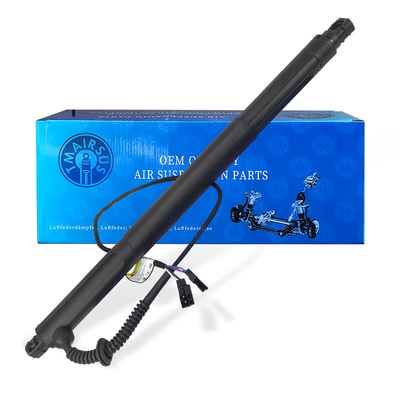 OEM অটোমেটিক 51247332697 51247332698 X6 E71 2007-2014 এর জন্য বৈদ্যুতিক রেলক্যাপ