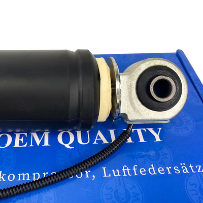 রিয়ার OEM প্রতিস্থাপন 84178213 শক শোষক জন্য লিংকন mkc