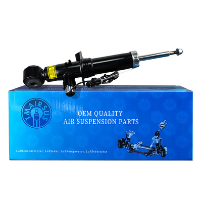 অটো ফ্রন্ট শক অ্যাবসোর্বার FL1Z-18124-A FL1Z-18124-B লিঙ্কন নেভিগেটর 2014-2017 এর জন্য বৈদ্যুতিক 3.5L V6 - গ্যাস সহ