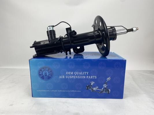 ১৮ মাসের ওয়ারেন্টি সহ লিংকন এমকেটির জন্য সামনের ডানদিকে এয়ার সাসপেনশন স্ট্রট ওএম DA5Z18124A