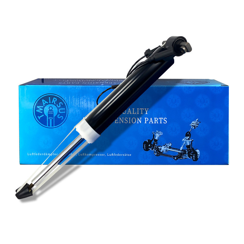 OEM স্পেসিফিকেশন এয়ার সাসপেনশন শক / লিঙ্কন এমকেটি রিয়ার ডান পজিশনের জন্য গাড়ি এয়ার শক অ্যাਬਸোর্বার