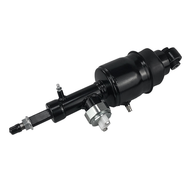 নিসান প্যাট্রোল আরমান্ডা ইনফিনিটি QX80 QX56 2010-2021 এর জন্য রিয়ার এয়ার সাসপেনশন শক