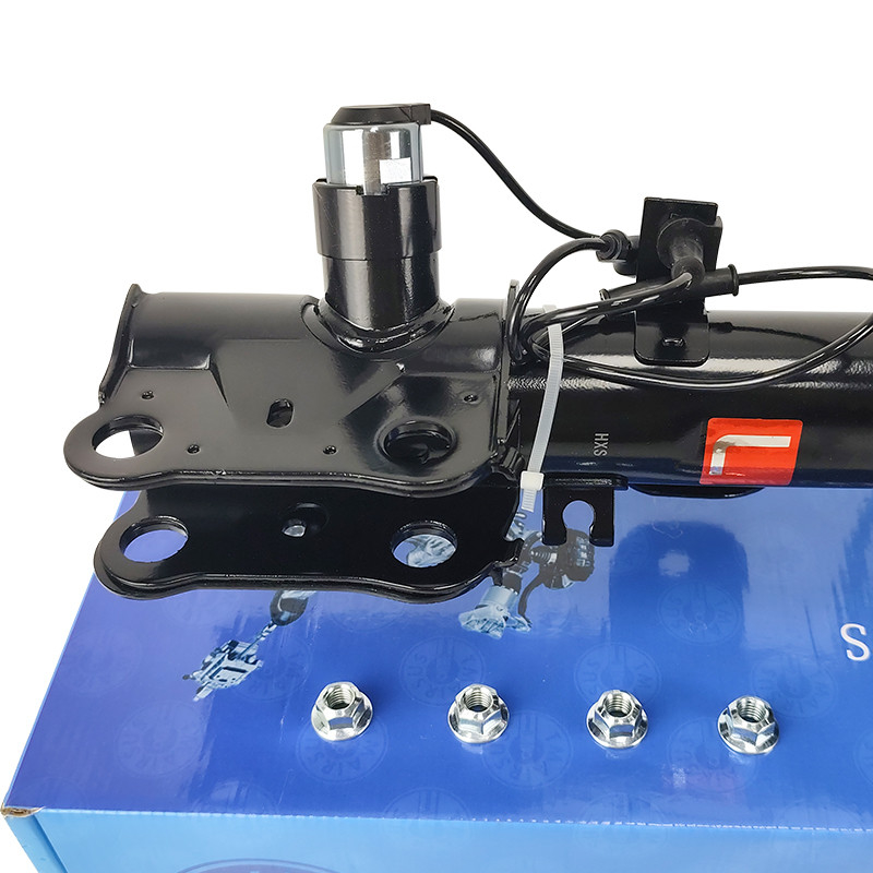 লিঙ্কন এমকেএস MKT DE9Z18124K DE9Z18124J এর জন্য সম্পূর্ণ স্ট্রটস সমাবেশ সামনের অংশ স্থগিতাদেশ OEM বৈদ্যুতিন গ্যাস শক