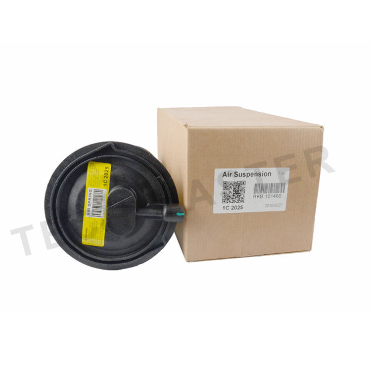 TS16949 এয়ার সাসপেনশন স্প্রিংস RKB101460E RKB101460 ল্যান্ড রোভার রেঞ্জ রোভার P38 এমকে-II এমকে 2 (1994-2002) রিয়ারের জন্য