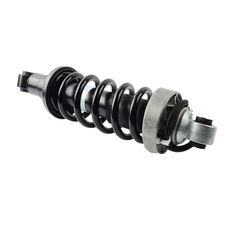 এয়ার সাসপেনশন গাড়ির যন্ত্রাংশ R8 420512019AL 420512020AL এয়ার শক শোষণকারী রিয়ার এল অ্যান্ড আর