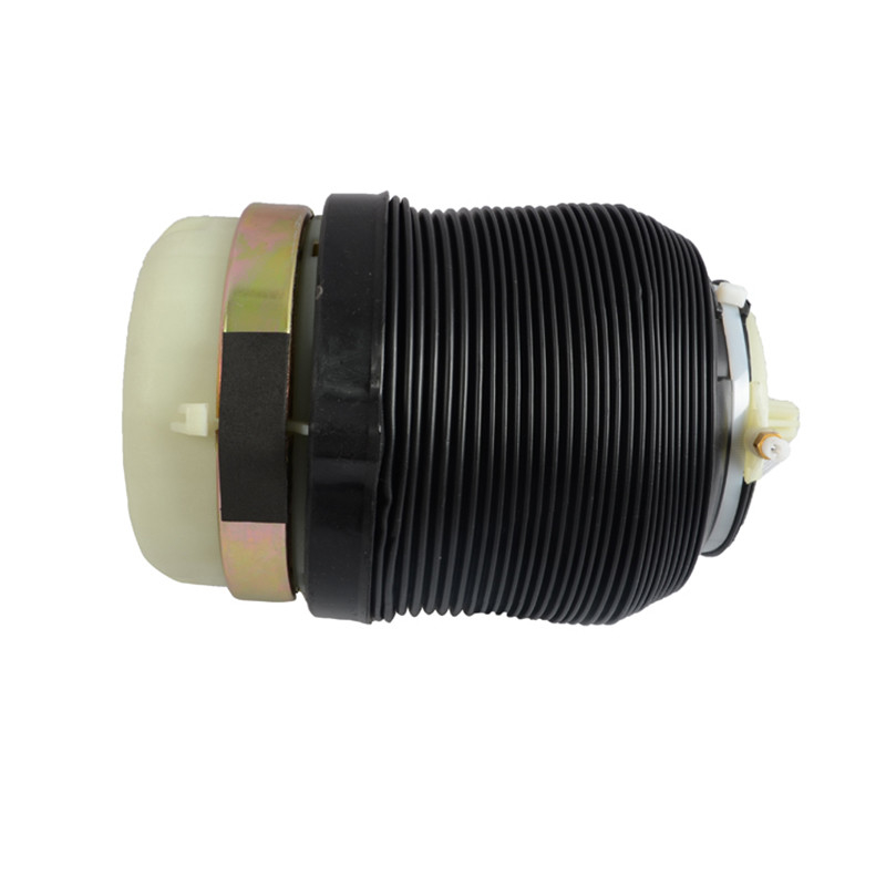 Audi A6 C6 Quattro S6 রিয়ার বাম এবং ডান Quattro S6 রিয়ার এয়ারমেটিক 4F0616001 4F0616001J এর জন্য অটো সাসপেনশন শক