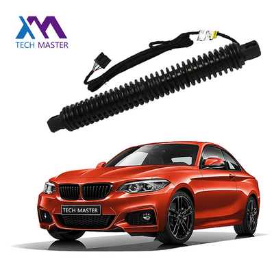 D2809R ইলেকট্রিক টেলগেট BMW F01 F02 রিয়ার রাইট 51247185714 2010-2014 এর জন্য বৈদ্যুতিক টেল গেট
