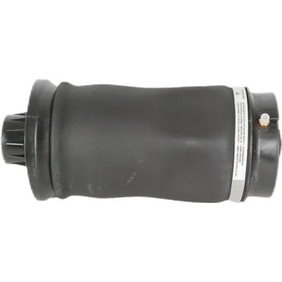 W164 রিয়ার এয়ার স্প্রিং দীর্ঘ স্থায়ী 2923200525 1643200825 1663200325